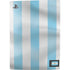 Argentina Soccer Flag PS5 Digital Edition Console Skin